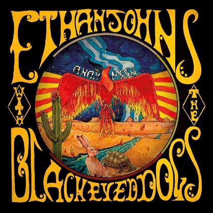 Ethan Johns & The Black Eyed Dogs - Anamnesis (2 LPs)