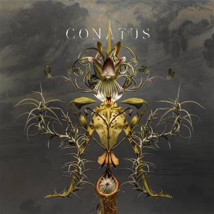Joep Beving - Conatus (2 LPs)