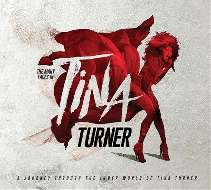 Many Faces Of Tina Turner (3 CDs)