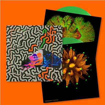 Animal Collective - Tangerine Reef (Ltd. Edition, 2 LPs)