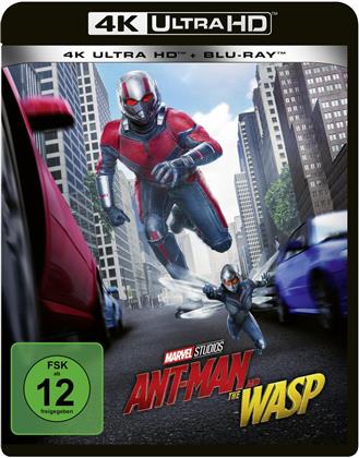 Ant-Man and the Wasp (2018) (4K Ultra HD + Blu-ray)