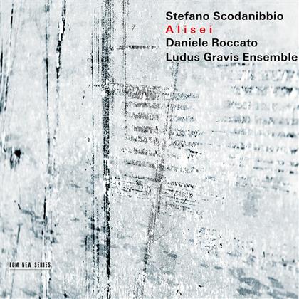 Daniele Roccato, Ludus Gravis Ensemble & Stefano Scodanibbio - Alisei