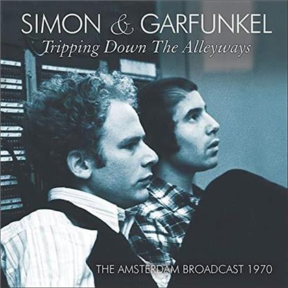 Simon & Garfunkel - Tripping Down The Alleyways (2 LPs)