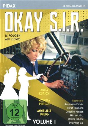 Okay S.I.R. - Vol. 1 (Pidax Serien-Klassiker, 2 DVDs)