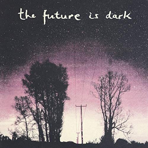 Petrol Girls - The Future Is Dark (LP)