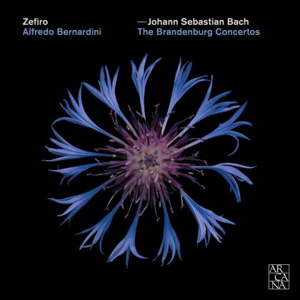 Alfredo Bernardini, Zefiro & Johann Sebastian Bach (1685-1750) - The Brandeburg Concertos (2 CDs)