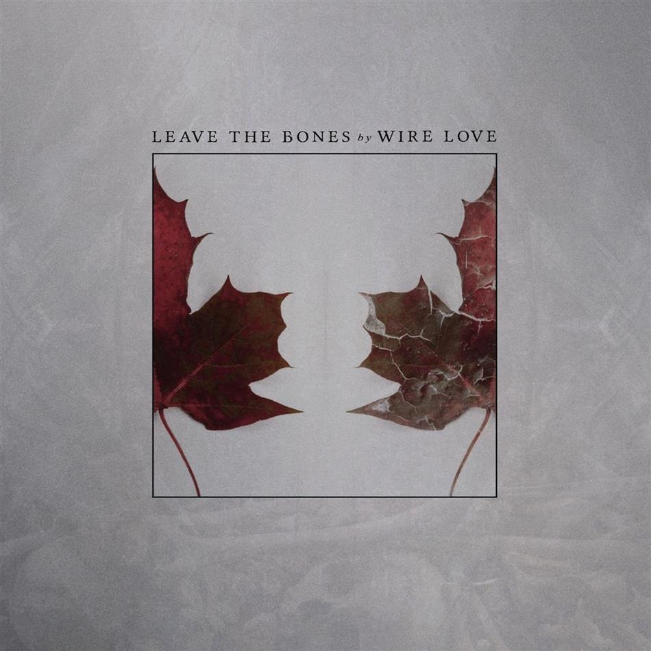Wirelove - Leave The Bones (LP)