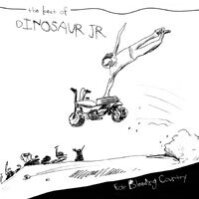 Dinosaur Jr. - Ear Bleeding Country ~ The Best Of (limited Deluxe, White Vinyl, 2 LP)
