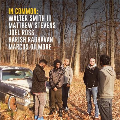 Matthew Stevens & Walter Smith III - In Common (LP)