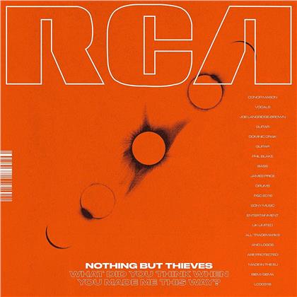 Nothing But Thieves - What Did You Think When You Made Me This Way? (12" Maxi)