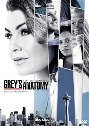 Grey's Anatomy - Stagione 14 (6 DVD)