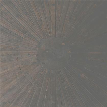 William Basinski & Lawrence English - Selva Oscura