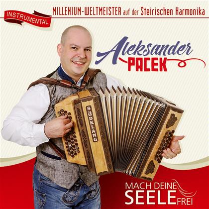 Aleksander Pacek - Mach Deine Seele Frei - Instrumental