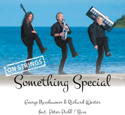 George Nussbaumer, Richard Wester & Peter Pichl - Something Special - On Strings