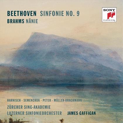 James Gaffigan, Mauro Peter, Luzerner Sinfonieorchester, Ludwig van Beethoven (1770-1827) & Johannes Brahms (1833-1897) - Beethoven: Symphony No. 9 & Brahms: Nänie (2 CDs)