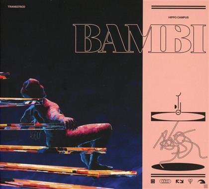 Hippo Campus - Bambi