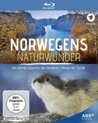 Norwegens Naturwunder - Die kleinen Giganten des Nordens / Magie der Fjorde