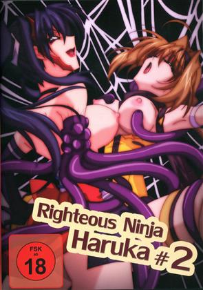 Righteous Ninja Haruka 2