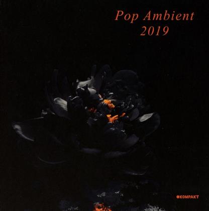Pop Ambient 2019 (Digipack)