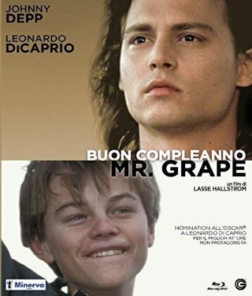 Buon compleanno Mr. Grape (1993)