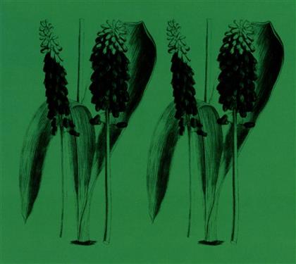 Mark Barrott - Nature Sounds Of The Balearics