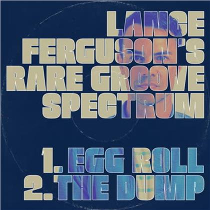 Lance Ferguson - Rare Groove Spectrum - Sampler (LP)