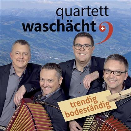 Quartett Waschächt - Trendig Bodeständig