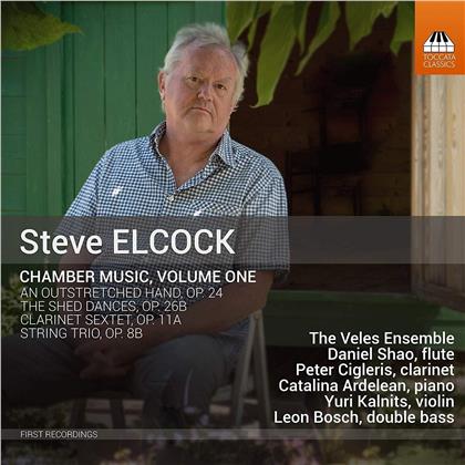 Veles Ensemble & Steve Elcock - Chamber Music Vol. 1