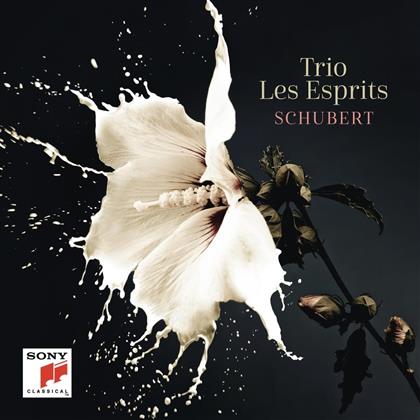 Trio Les Esprits - Schubert (2 CDs)