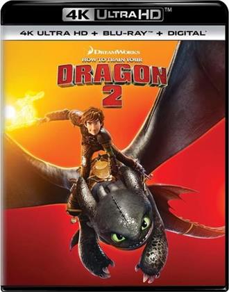 How To Train Your Dragon 2 (2014) (4K Ultra HD + Blu-ray)
