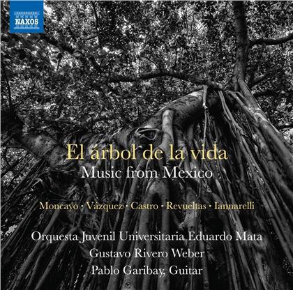 Orquesta Juvenil Universitaria Eduardo Mata & Pablo Garibay - El Arbol De La Vida - Music From Mexico