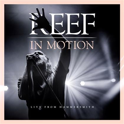 Reef - In Motion (CD + Blu-ray)