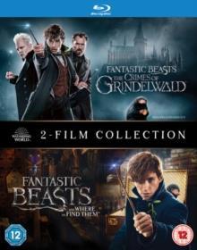 Fantastic Beasts and where to find them / The Crimes of Grindelwald - 2-Film Collection (2 Blu-ray)