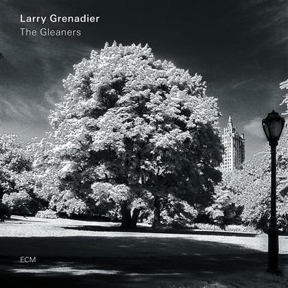 Larry Grenadier - Gleaners (LP)