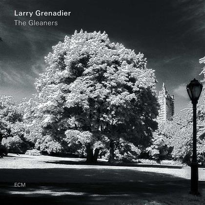 Larry Grenadier - Gleaners