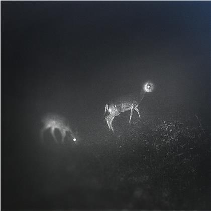 Bliss Signal - --- (Limited Edition, LP)