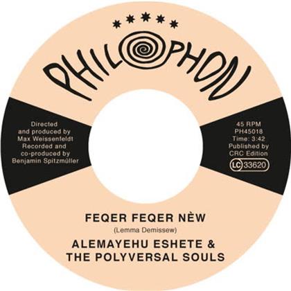 Polyversal Souls feat. Alèmayèhu Eshèté - Feqer Feqer New (7" Single)