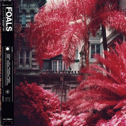 Foals - Everything Not Saved Will Be Lost Part 1 (LP)
