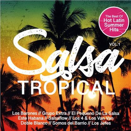 Salsa Tropical Vol. 1 - Best Of Hot Latin Summer Hits (2 CDs)