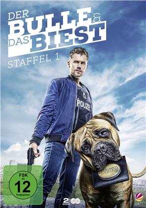 Der Bulle & das Biest - Staffel 1 (2 DVDs)