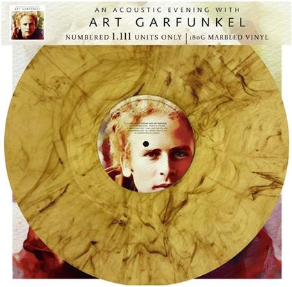 Art Garfunkel - An Acoustic Evening with Art Garfunkel (LP)