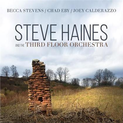 Steve Haines & The Third Floor Orchestra - ---