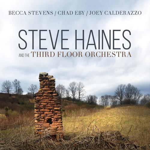 Steve Haines & The Third Floor Orchestra - ---
