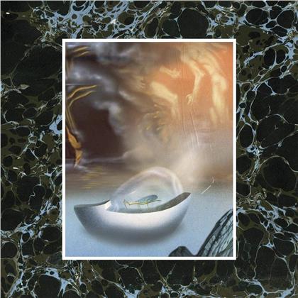 Wand - Laughing Matter (Gatefold, LP)