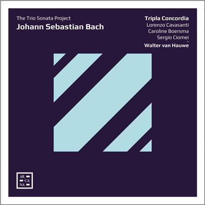 Tripla Concordia, Walter van Hauwe & Johann Sebastian Bach (1685-1750) - Trio Sonata Project