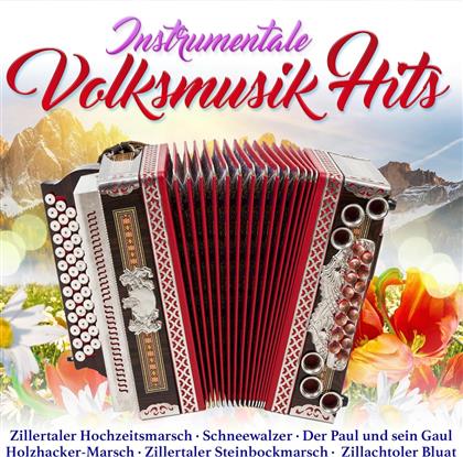 Instrumentale Volksmusikhits