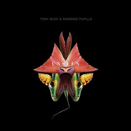 Buck Tony & Massimo Pupillo - Unseen