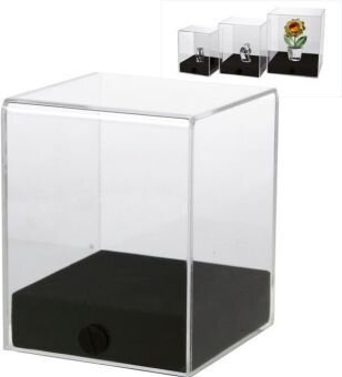 Acryl-Vitrine "Cube" - Grösse: 8 x 8 x 10 cm