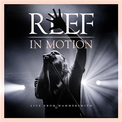 Reef - In Motion (2 LPs)