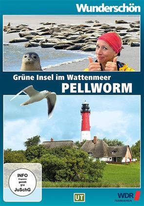 Pellworm - Grüne Insel im Wattenmeer - Wunderschön!